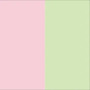 Blush | Beyond Joy x Sage | Beyond Creativity