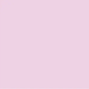 Lavender | Beyond Gratitude