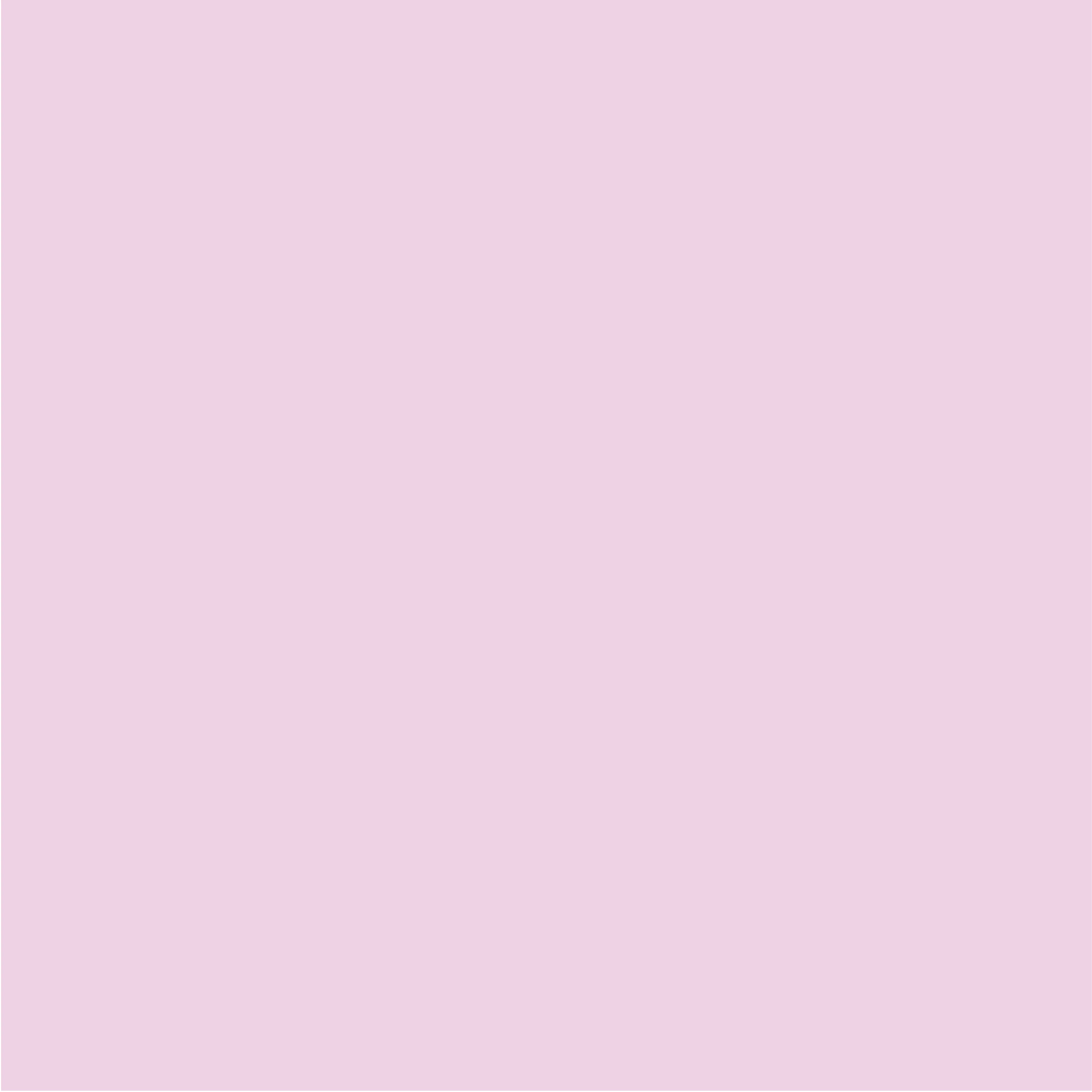 Lavender | Beyond Gratitude