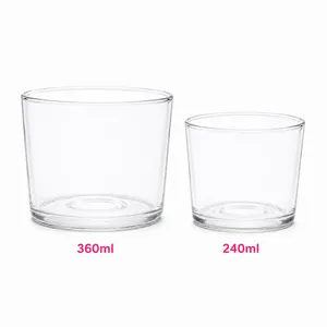 Teacher Transparent Mug